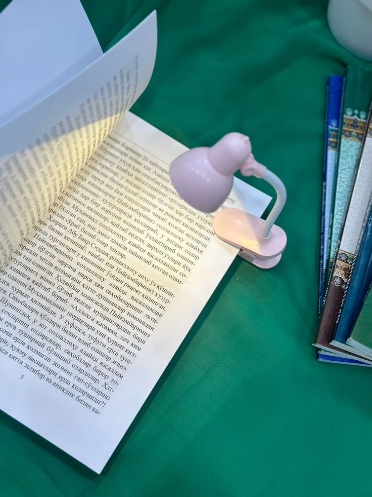 Mini Fancy Book Clip Lamp Portable Reading Light for Study